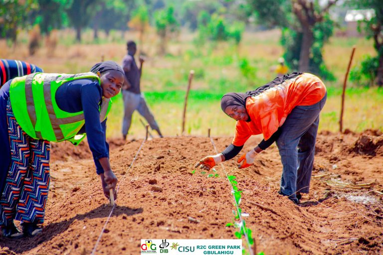 N/R: GYG EXPANDING GREEN PARKS IN TOLON AND SAVELUGU: WOMEN AT THE CENTER OF CLIMATE SMART AGRICULTURE