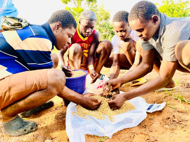 N/R: GYG and Tolon SHS Green Club Plant 2 Acres of Soya Bean to Strengthen Climate-Smart Agriculture Skills.
